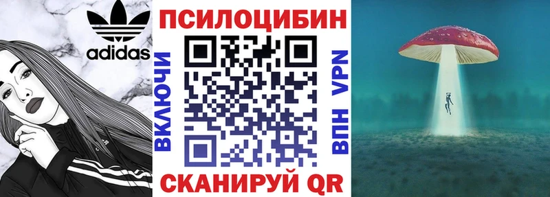 мориарти Telegram  Нижний Новгород  Галлюциногенные грибы Cubensis  даркнет сайт 